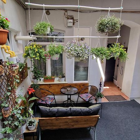 Studio Unikat Брашов Екстер'єр фото