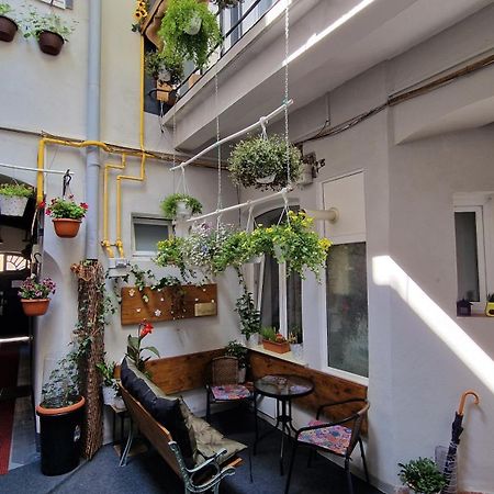 Studio Unikat Брашов Екстер'єр фото